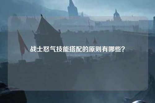 战士怒气技能搭配的原则有哪些？